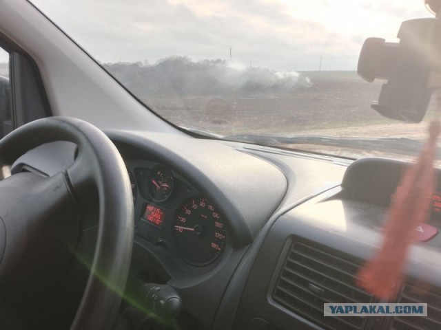Жизнь домашнего приюта для котеек 468
