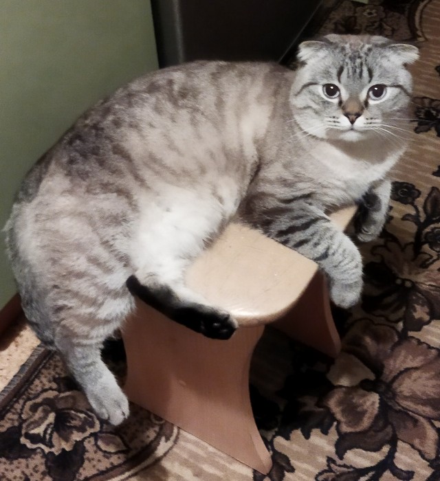 Я тоже стал рабом
