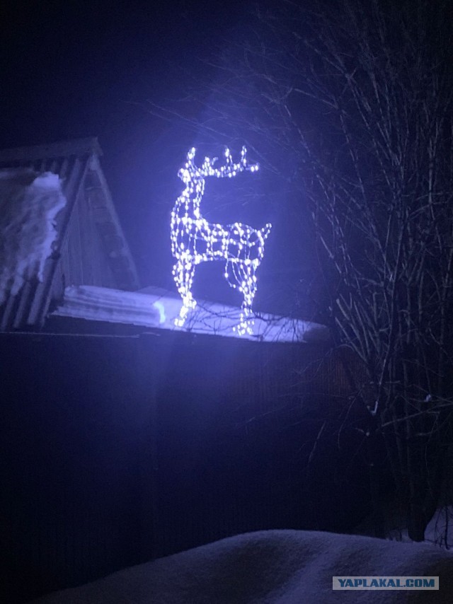 50 килограмм