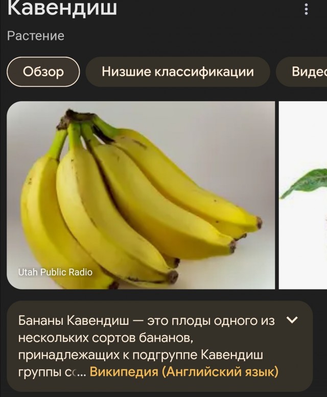Бананы с привкусом крови