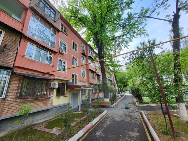 Ташкент, Самарканд, Бухара и домой…