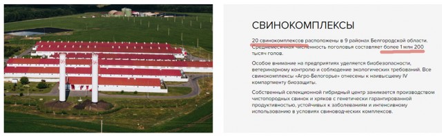 В Белгородской области при атаке с воздуха погиб местный житель и получила ранения восьмилетняя девочка