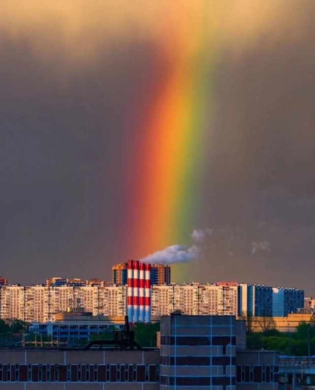 Фотосмесь 07.06.24