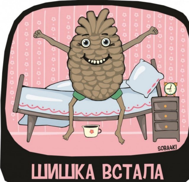 Одно фото хорошего настроения