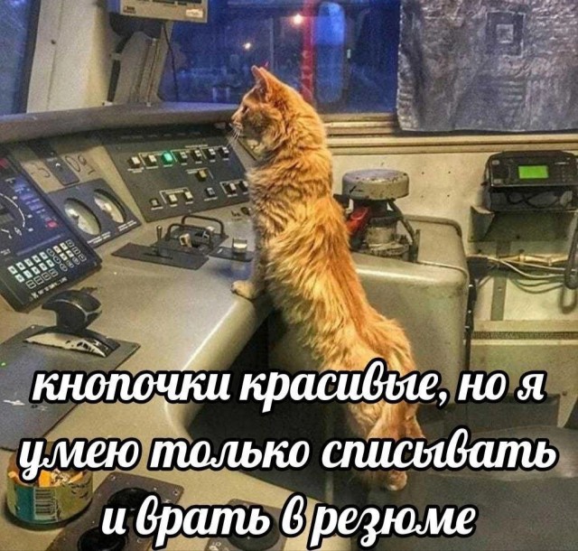 Сборник бабаянов или неожиданная помойка