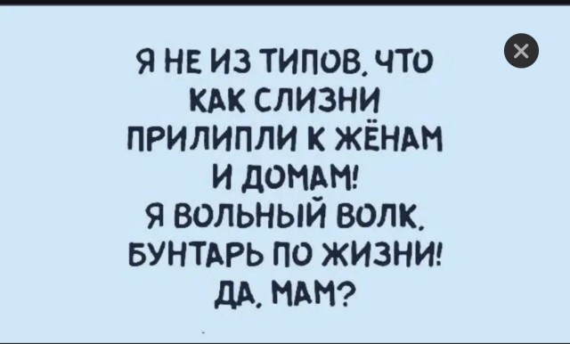 Мамкин пирожок...