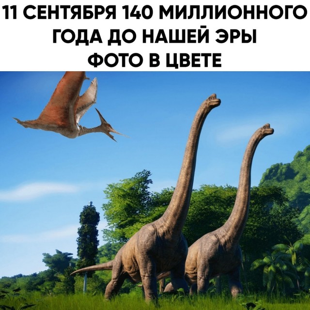 Весёлый полтишок 12.09.24