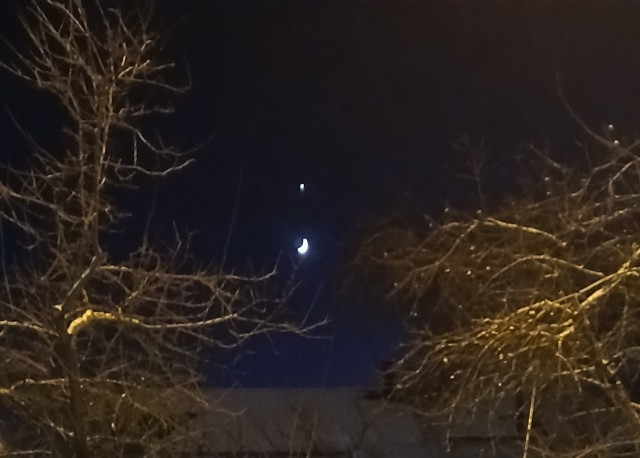Венера в самом соку