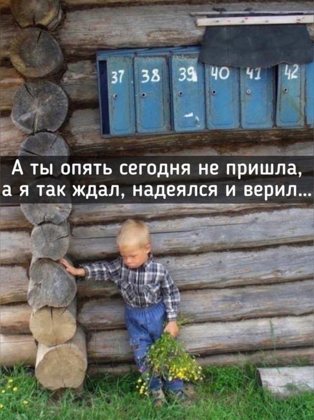 Прикольные и просто красивые картинки 17.01.2025