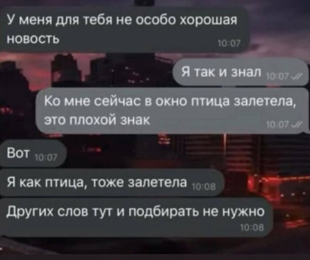 Весёлый полтишок 13.03.25