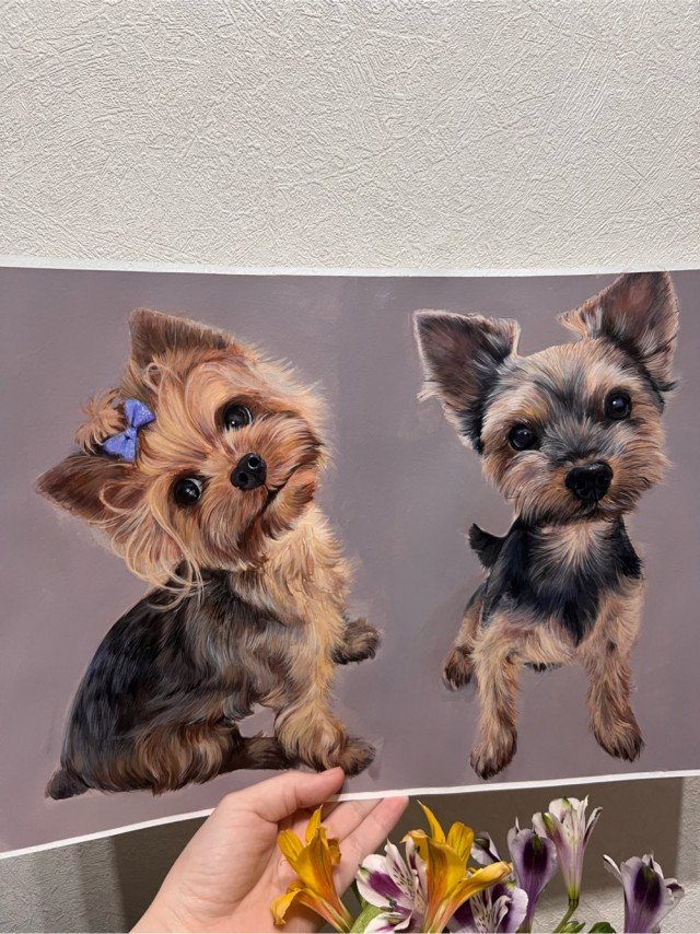 У меня тут от портрета не отказались..)