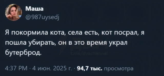 Переиграна и уничтожена