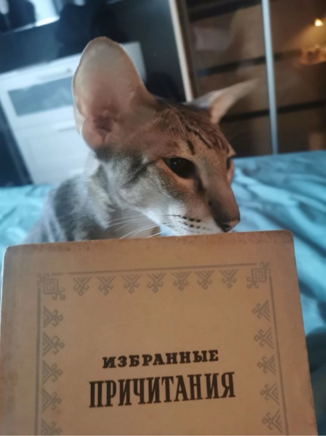 Прикольные и просто красивые картинки
