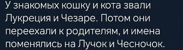 Это к нам менты что ли?