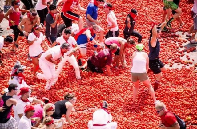 Много в урожае томатов и не знали куда девать