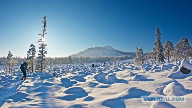 Сказочная дорога.