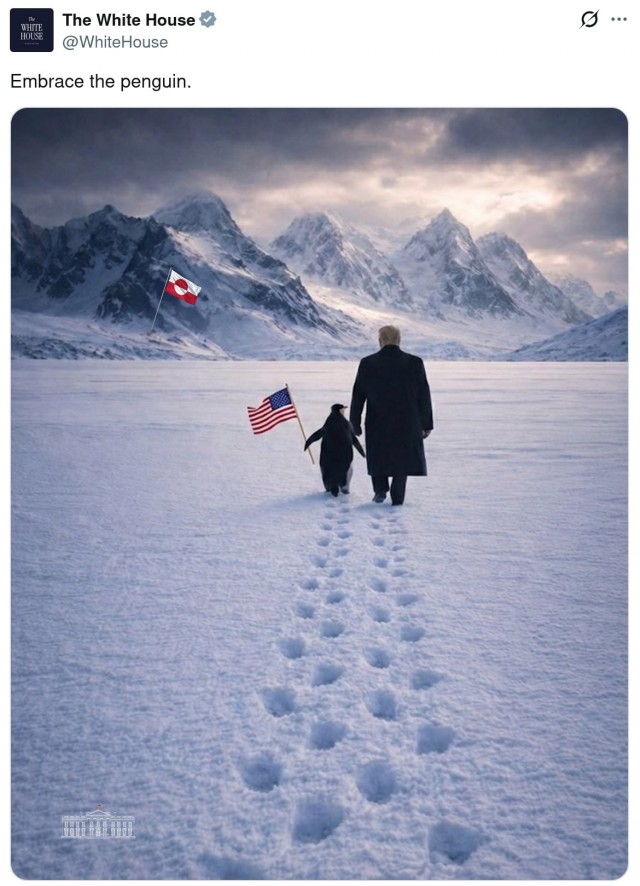 Пингвины в Гренландии?