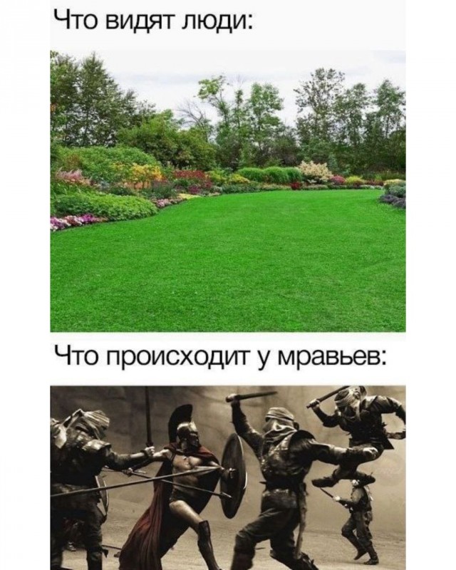 Картинки для деградации 147 (разной степени свежести)