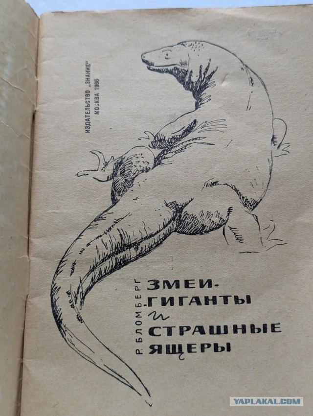 Комодский варан: Мегаящеры, способные завалить буйвола. Весь остров дрожит от их тирании