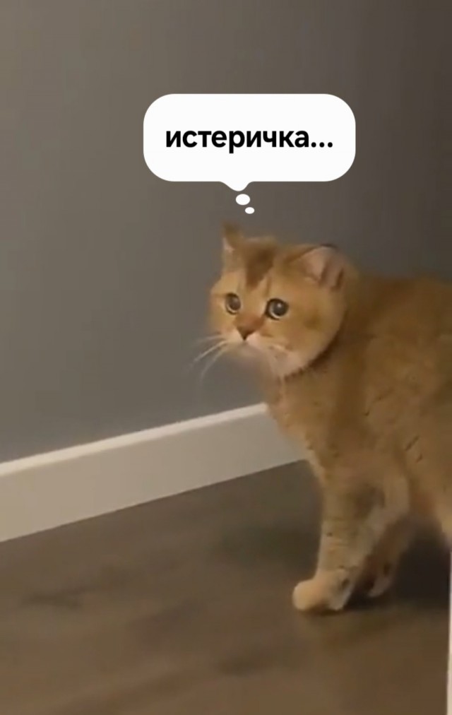 Наташ, ты с ума сошла?