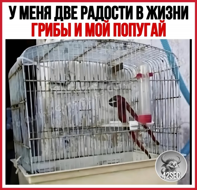 Картинки для деградации 157 (разной степени свежести)