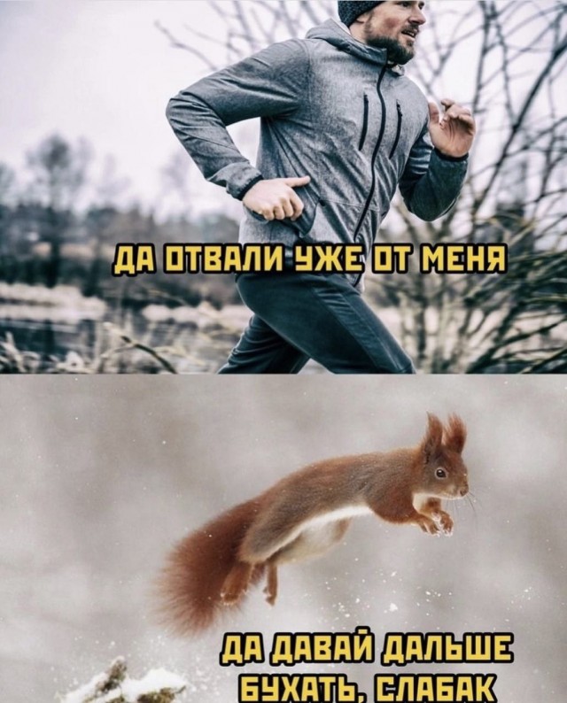 Картинки для деградации 199 (разной степени свежести)