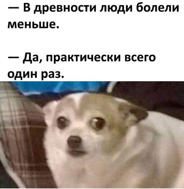 Так себе картинки 13.06.26