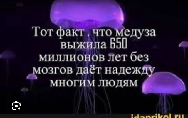 … слов недостаточно…