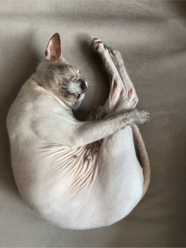 Доброе утро котаны!