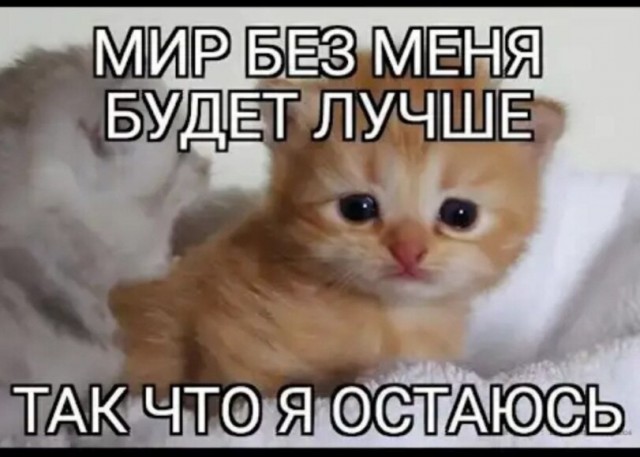 Картинки всякие разные невпопад 1.5