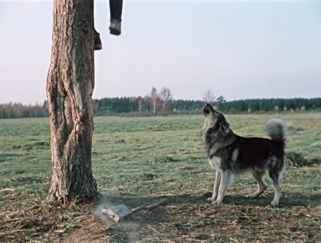 Короткометражному кинофельетону «Пёс Барбос и необычный кросс» - 65 лет!