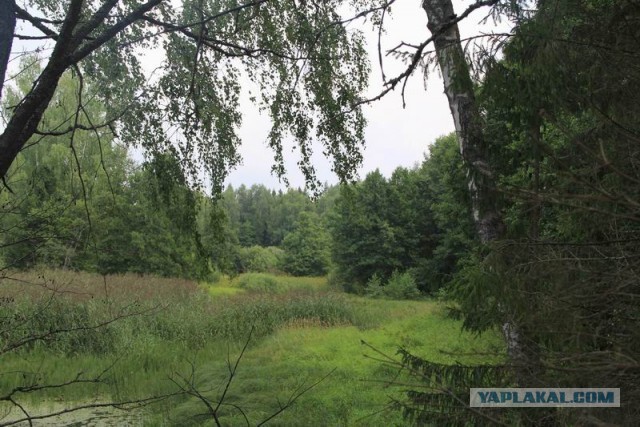 Фотоотчёт. Ивановская область.