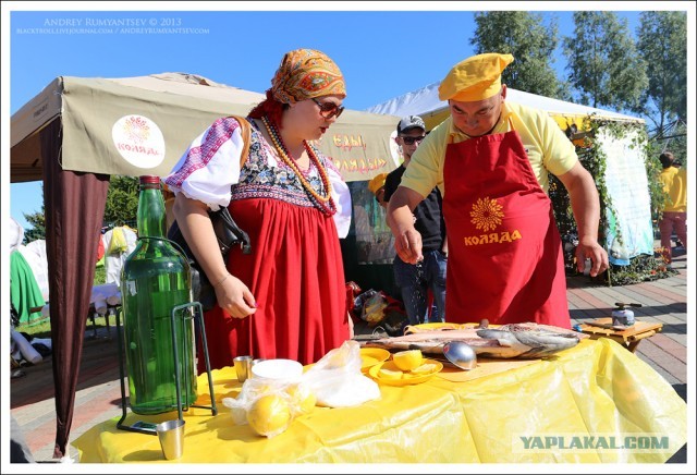 Международный чемпионат ухи 2013