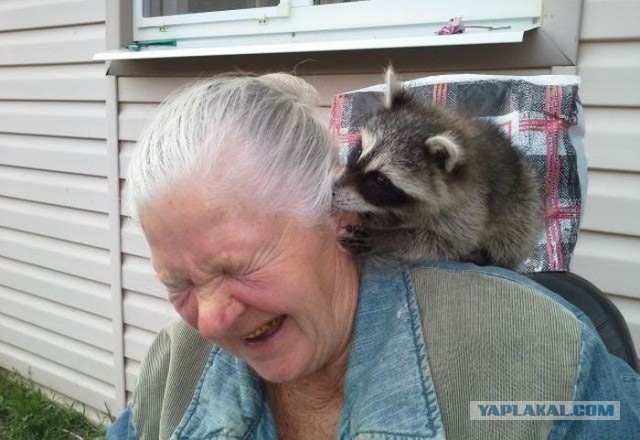 Сексуальная косплейщица и мастер перевоплощений