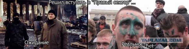 Власти Донецкой области объявили референдум
