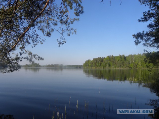 Поездка на "рыбалку".Карельский перешеек.