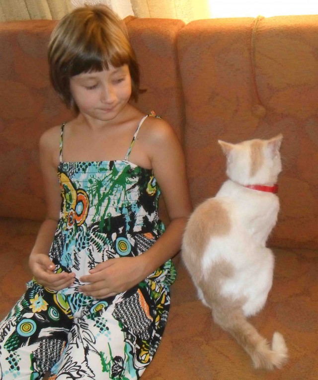 Теплые фотографии о дружбе детей и котов