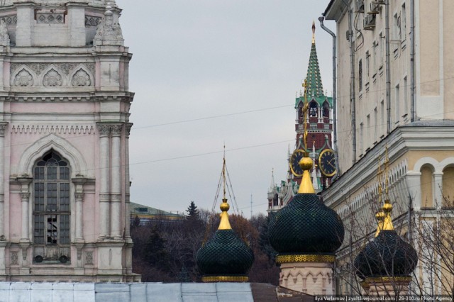 Сосед президента