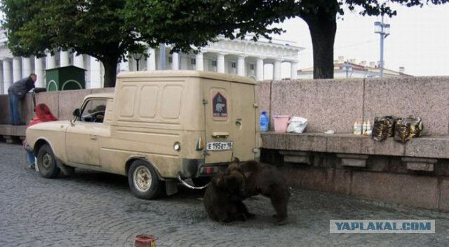 Тем временем в России...