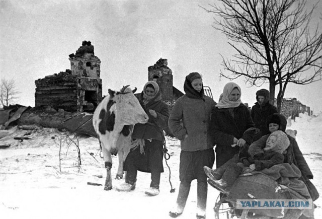 Да не повторится такое никогда