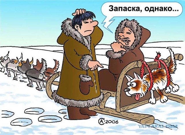 Веселые картинки на пятницу