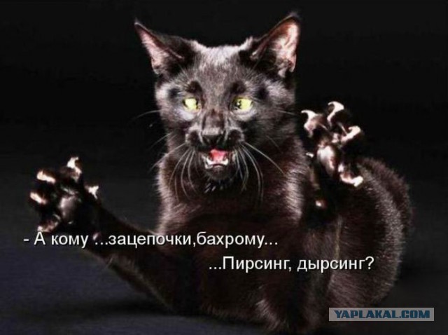 Пятница немного настроения