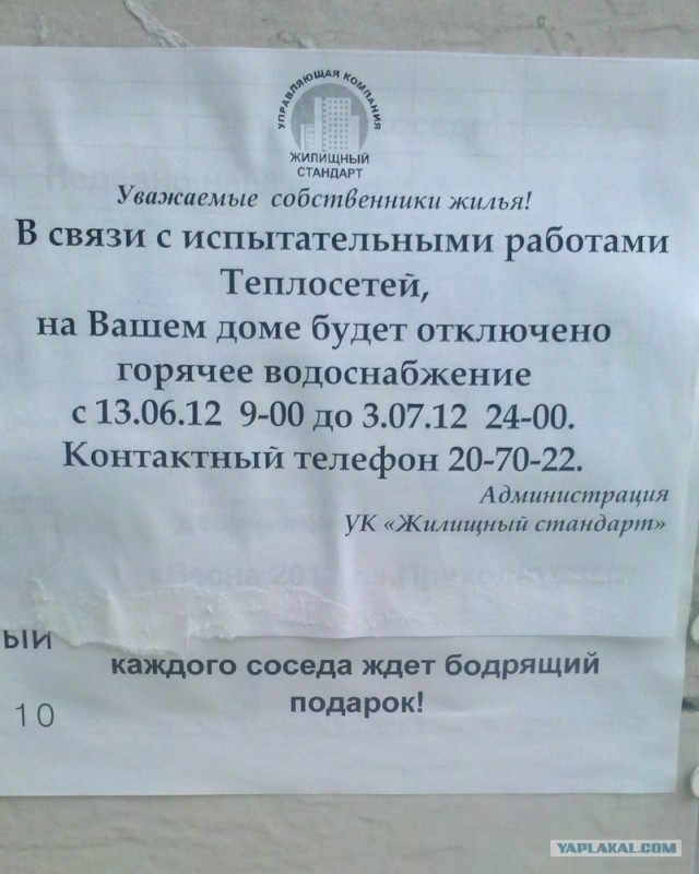 ЖКХ головного мозга