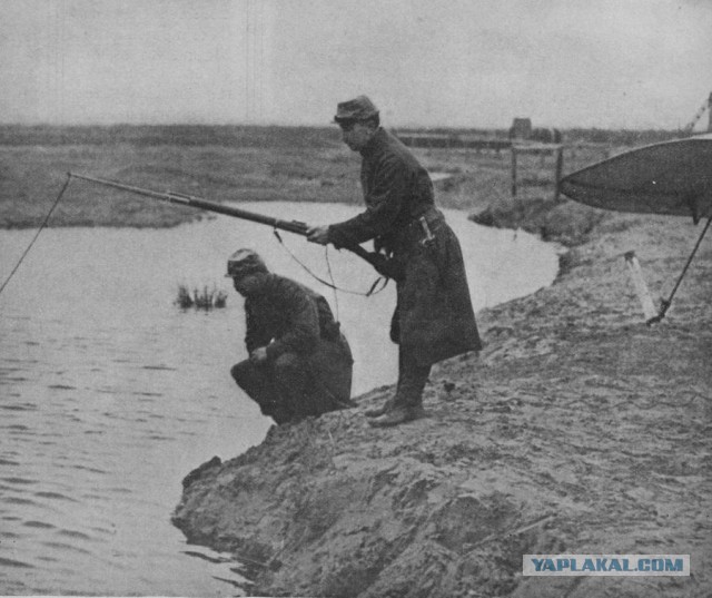 У нас тут своя атмосфера-2