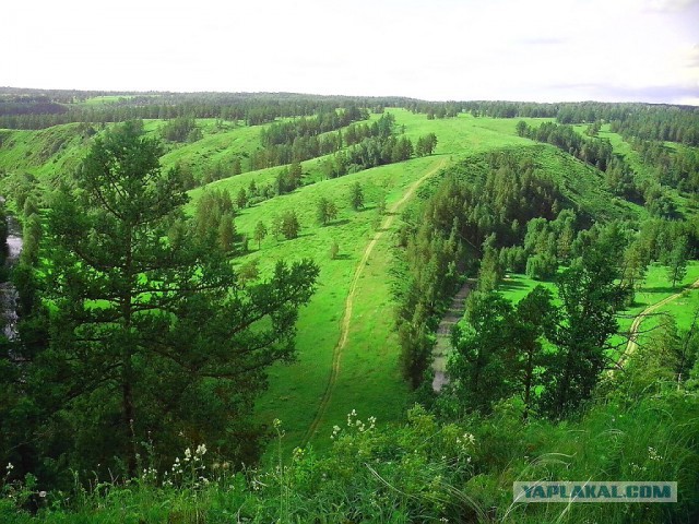 Это Россия, детка