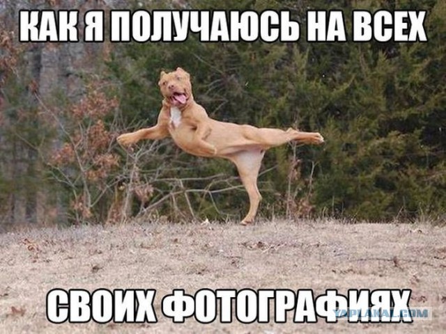Прикольные картинки