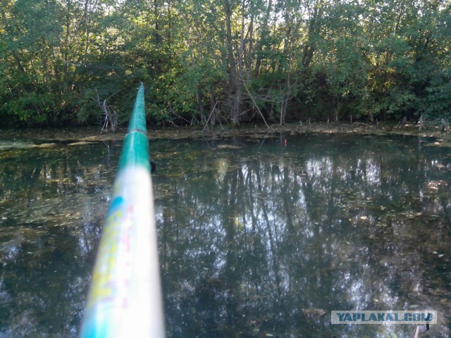 Неудачная рыбалка или нет худа без добра