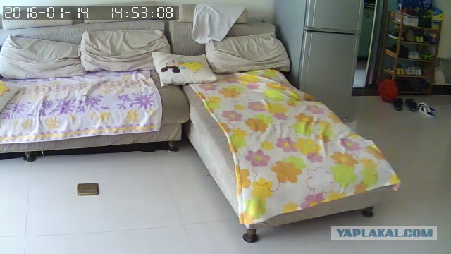 За что я люблю китайцев