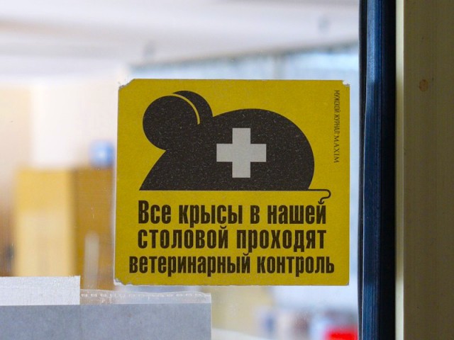 Чуть-чуть маразма