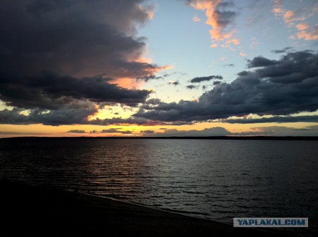 Я узнал, что у меня есть огромная семья